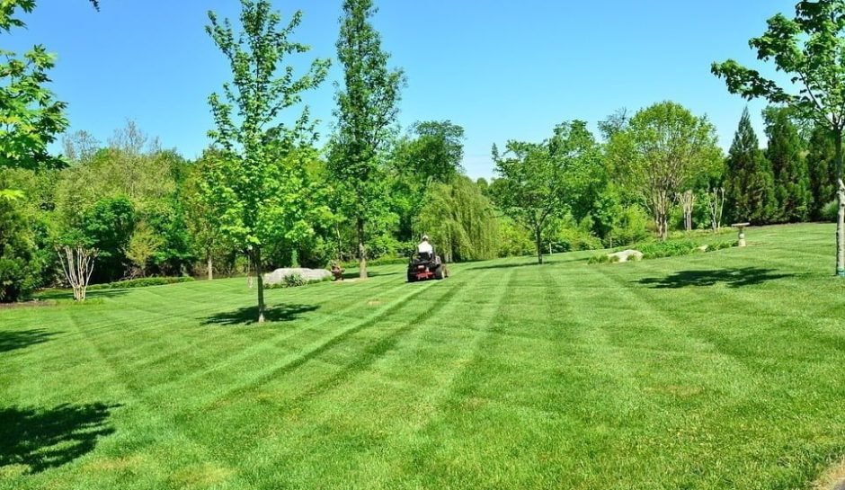 lawn-care-643557_960_720